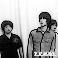 GRAPEVINE