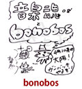 bonobos