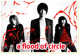 a flood of circle