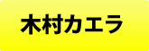 木村カエラ