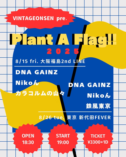 カラコルムの山々 / DNA GAINZ / NiKoん